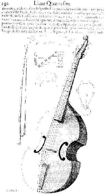 9 Viola da Gamba-r